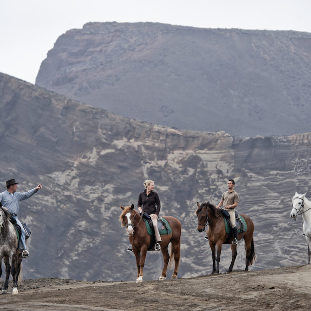 Passeio a Cavalo na Ilha do Faial