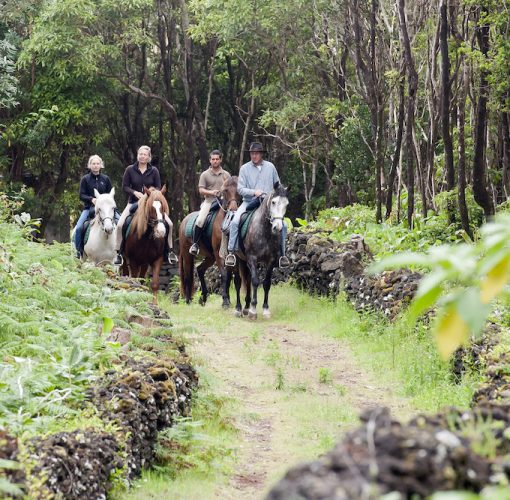 Passeio a Cavalo na Ilha do Faial