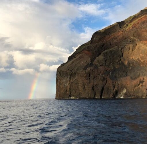 Passeio de Barco, Ilha do Faial, Açores