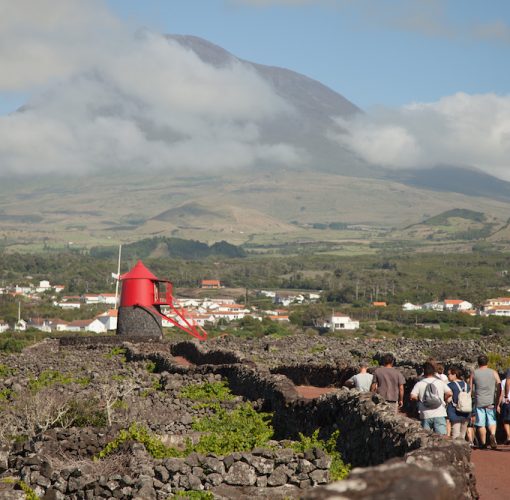Ilha do Pico, Azores
