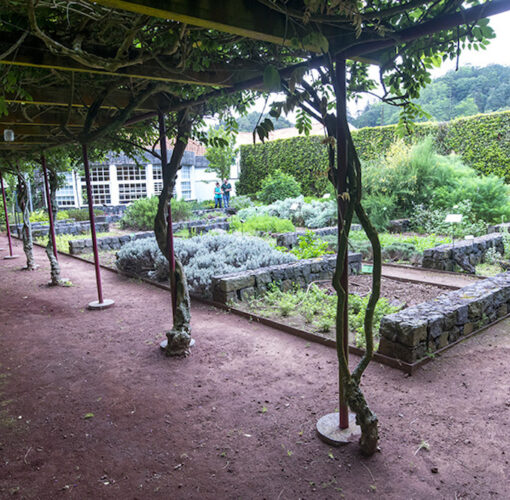 Jardim Botânico, Ilha do Faial, Açores