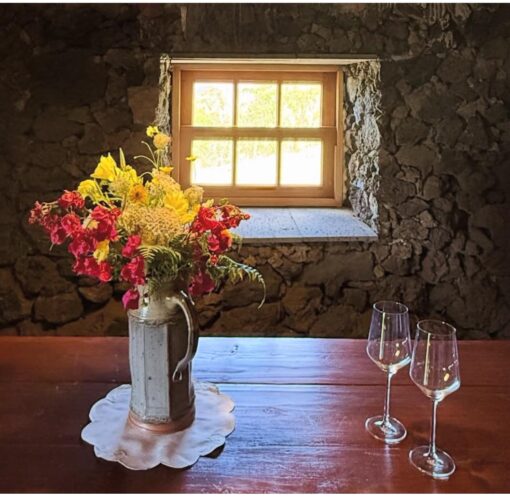 Degustação Vinhos dos Açores, Ilha do Faial