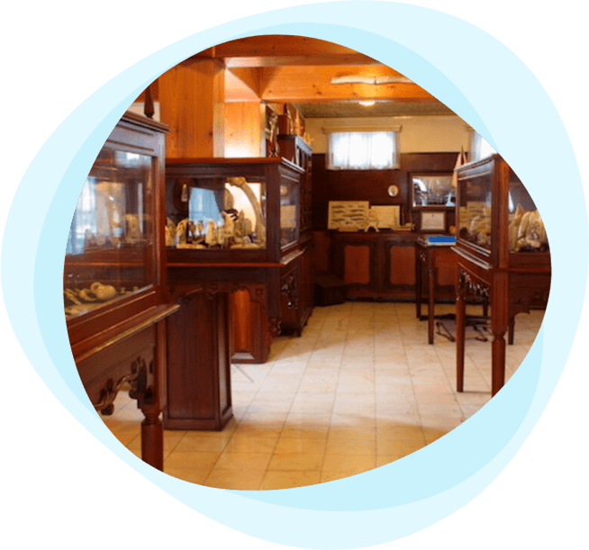 Museu do Scrimshaw, Peter Café Sport, Ilha do Faial