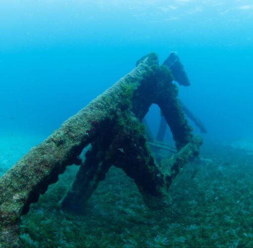 Naufrágio Main, Baía de Porto Pim, Faial