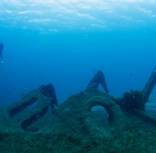 Naufrágio Main, Baía de Porto Pim, Faial