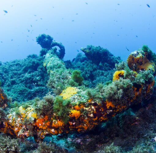 Depósito Arqueológico de Entre Montes, Faial