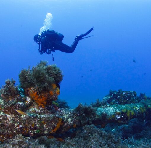 Depósito Arqueológico de Entre Montes, Faial