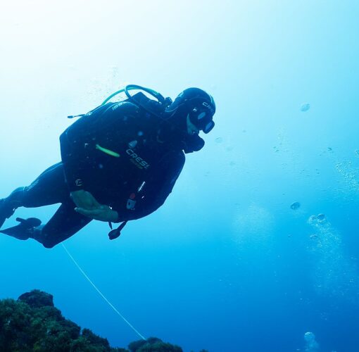 Depósito Arqueológico de Entre Montes, Faial