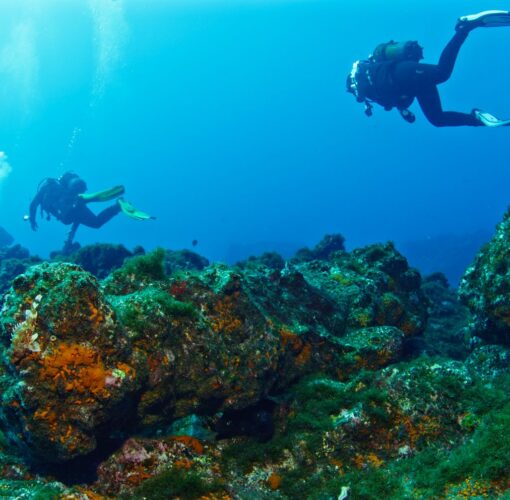 Depósito Arqueológico de Entre Montes, Faial