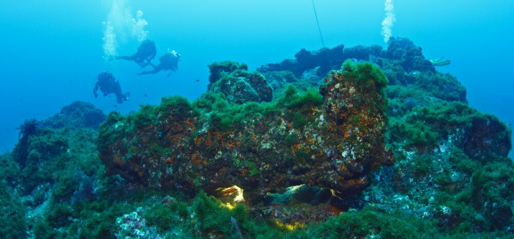Depósito Arqueológico de Entre Montes, Faial